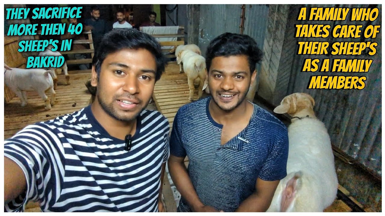 Bangalore Shivajinagar goat and sheep market bakrid special 2024