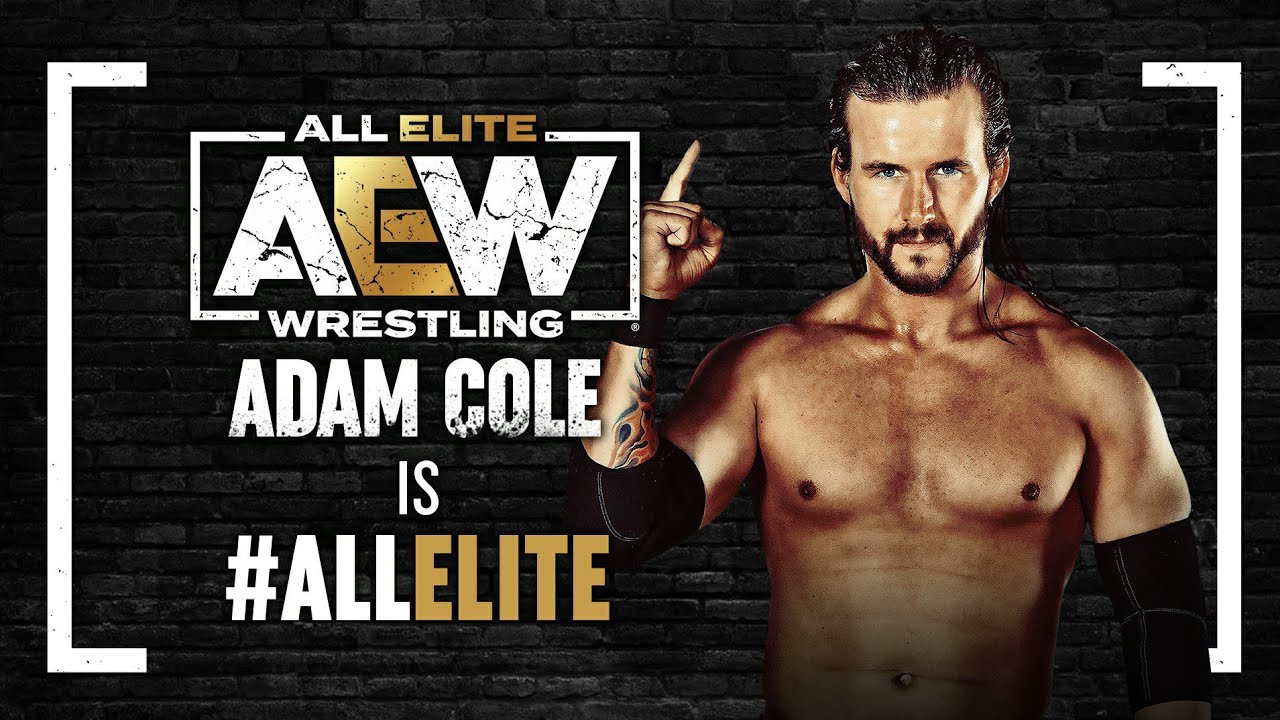 AEW FIGHT FOREVER - ROAD TO ELITE (ADAM COLE)