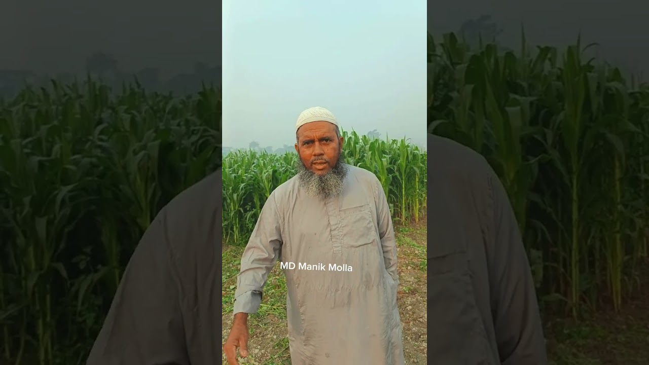 বাবুল মামার খাদ্য তালিকায় অ/দ্ভুত খাবার 😁