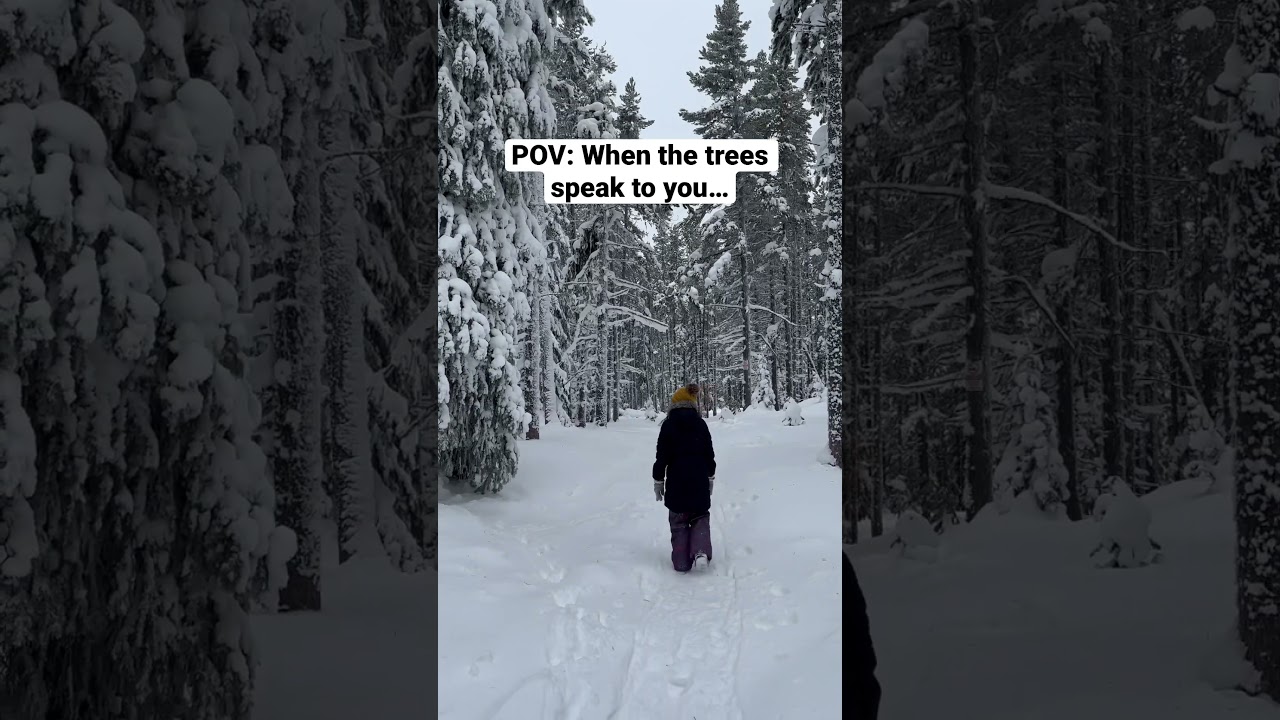 When the trees speak 