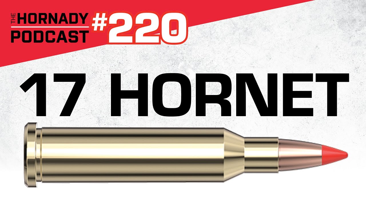 Ep. 220 - 17 Hornet | Small Cartridge, Big Sting |