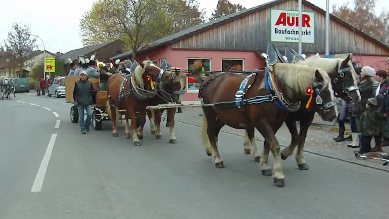 Leonhardiritt 2009 in Wartenberg / Teil 2