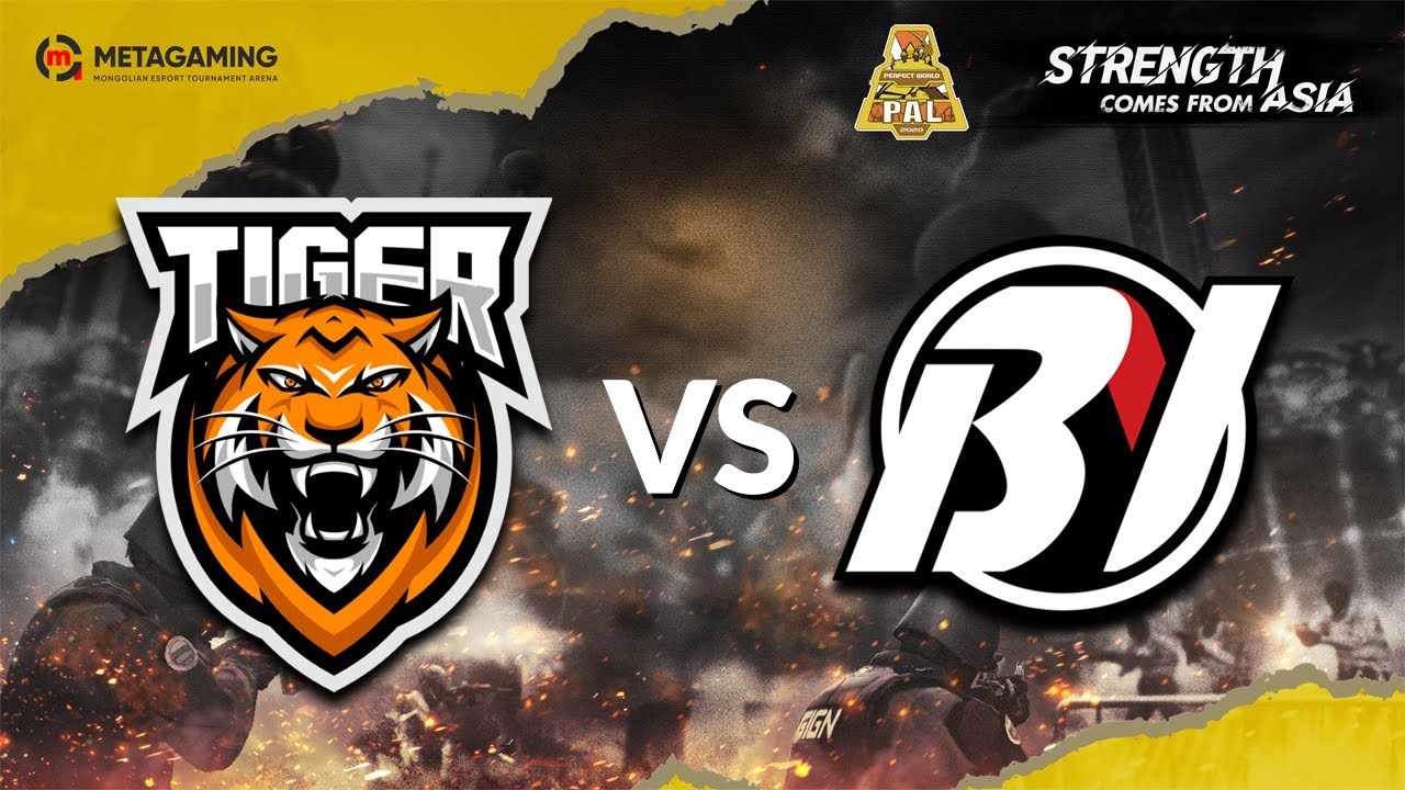 PAL Fall 2020 | TIGER vs BEYOND | MN cast