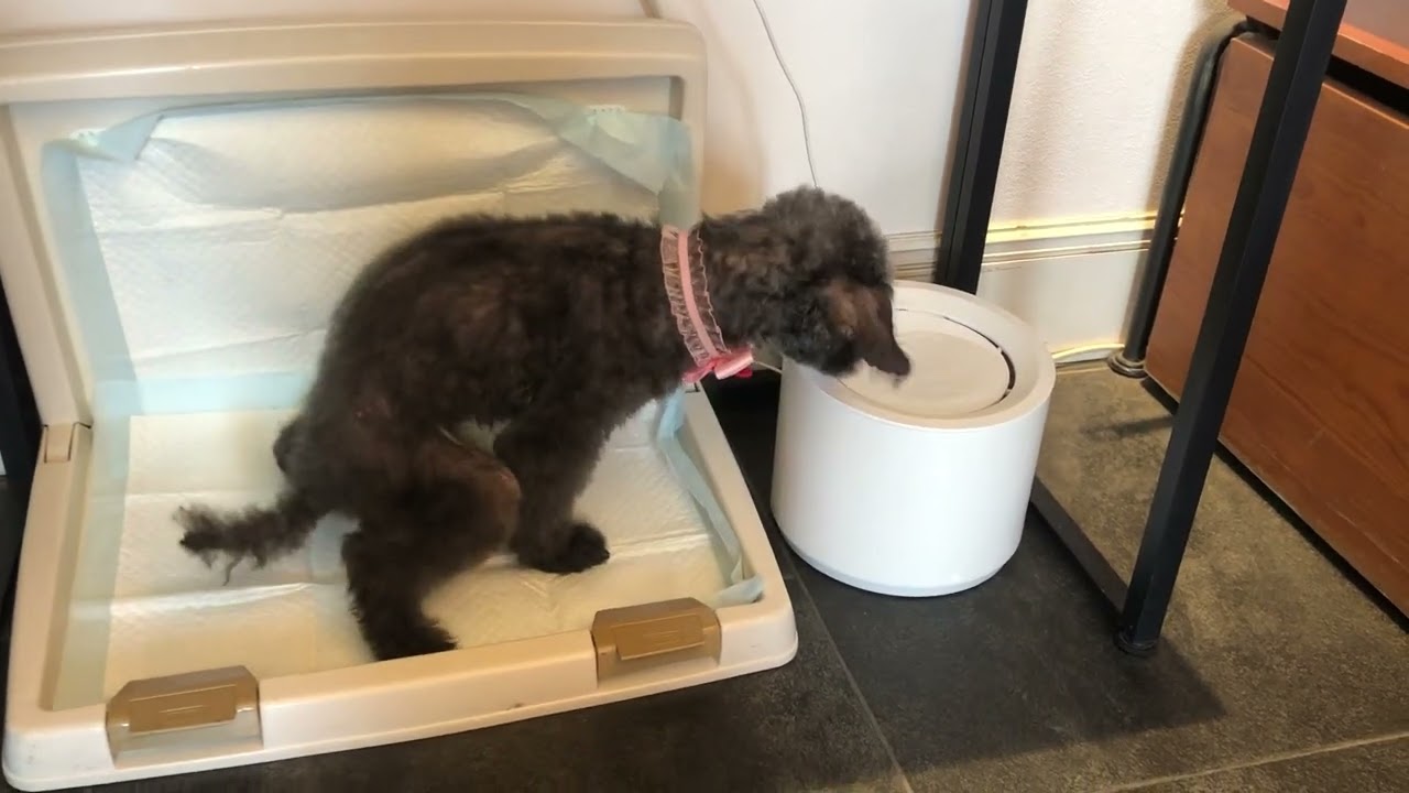 ちゅらちゃんと遊ぶ♪