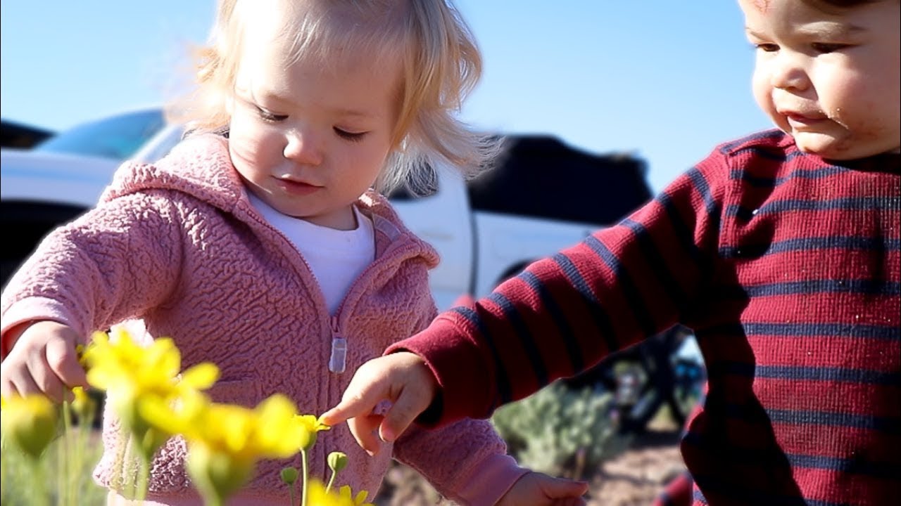 Camping & Hiking With Our 1 year Olds!