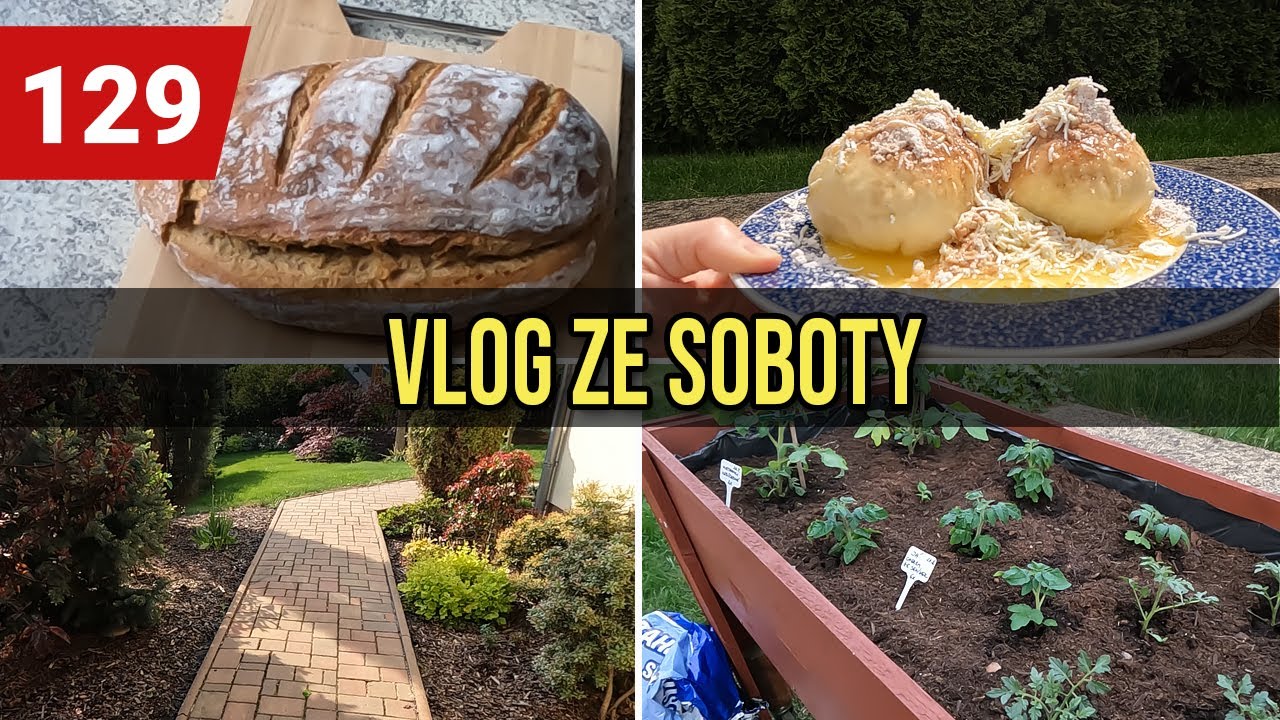 DENNÍ VLOG | PEČU CHLEBA | KYNUTÉ OVOCNÉ KNEDLÍKY | SÁZÍM RAJČATA