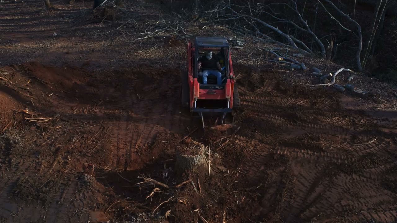 Poplar Stump Removal