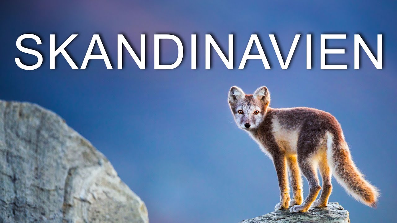 Fernweh Festival 2024: Skandinavien - Unber&uuml;hrte Wildnis