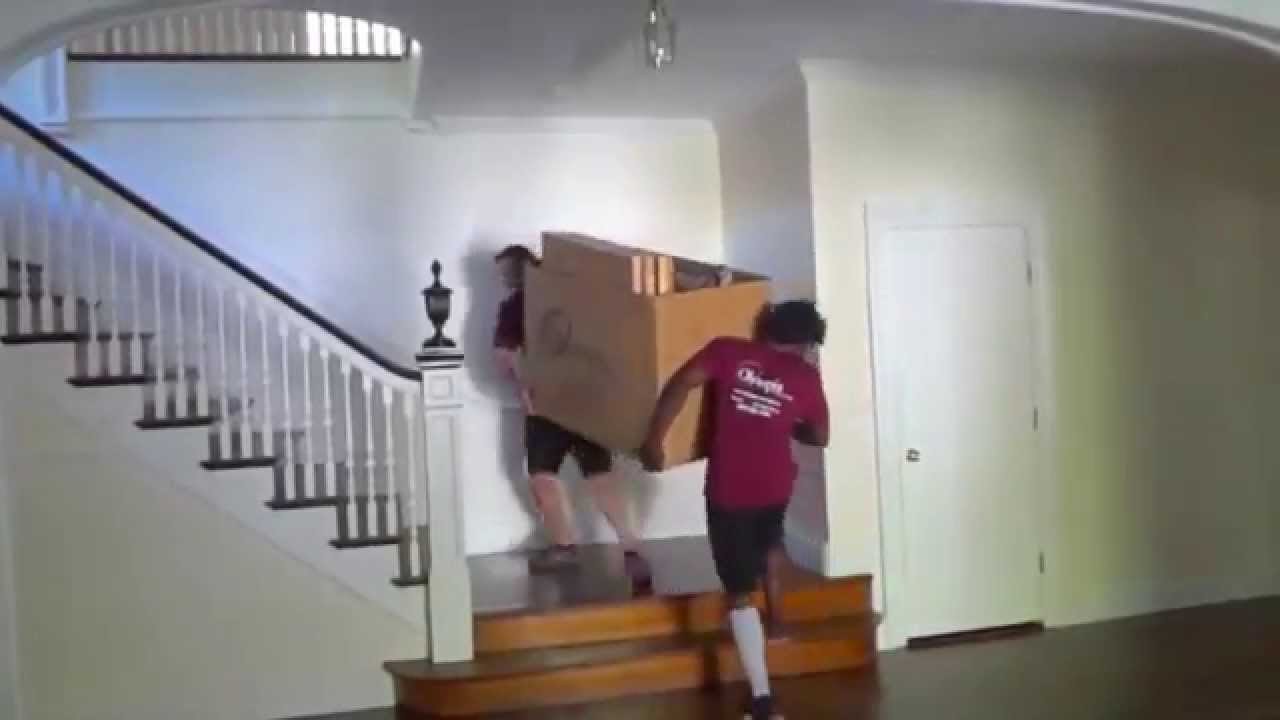 Olympia Moving Crew in Waban, MA | 9.15.15