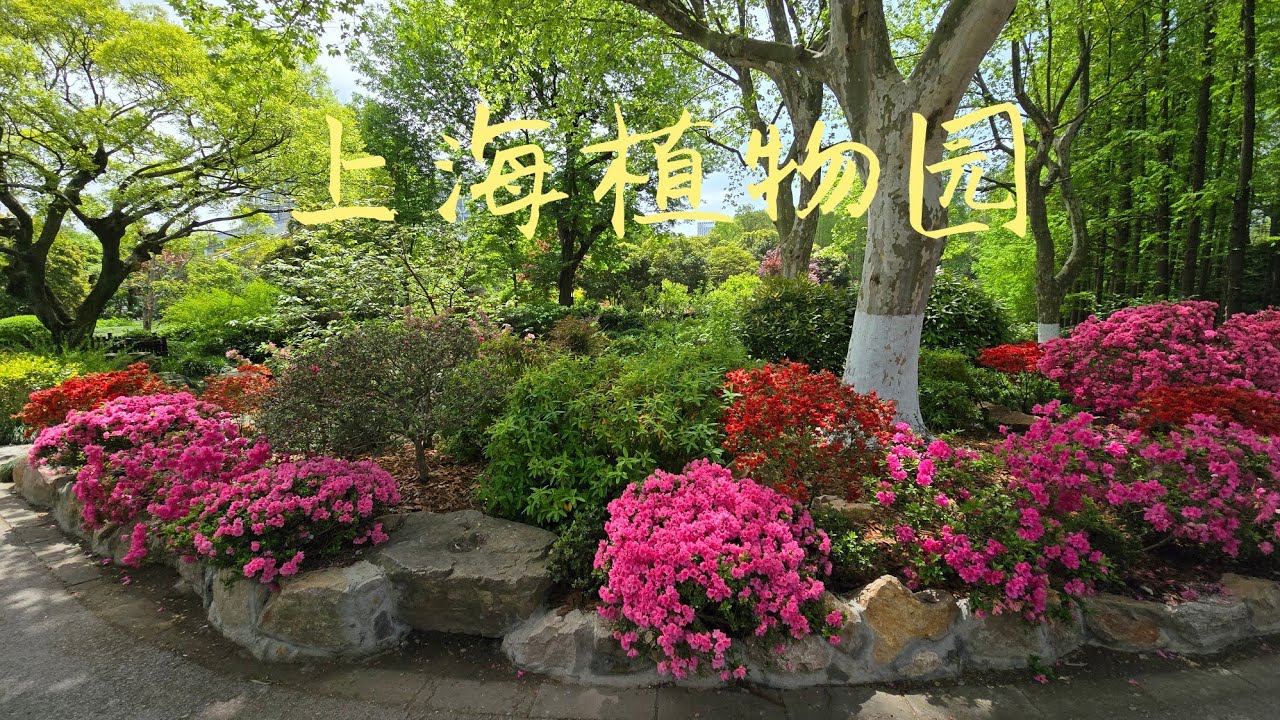 Sophie's Garden 上海植物园绝对称得上是国内顶级植物园，无一处不精致