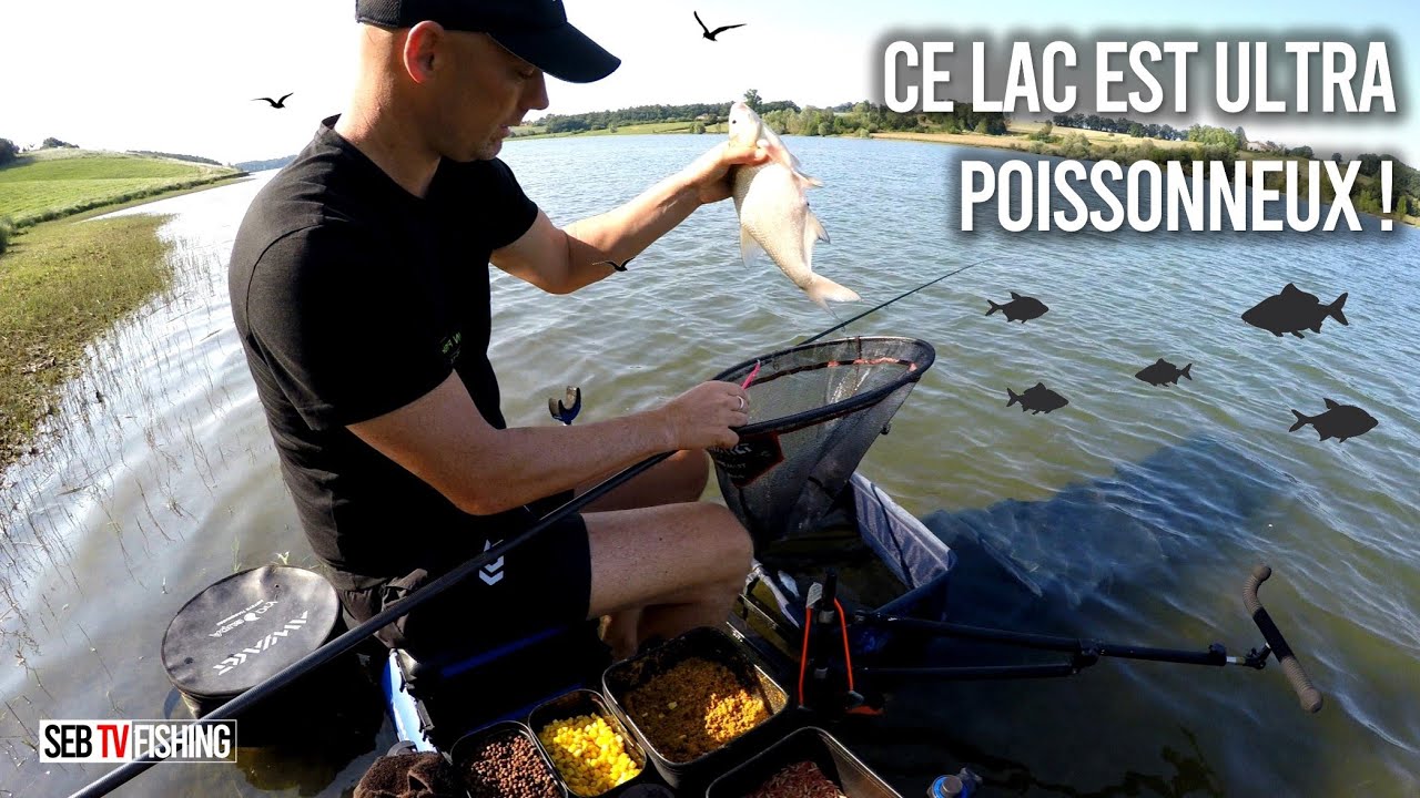 Pêche au feeder de beaux poissons en lac de barrage (Format VLOG)
