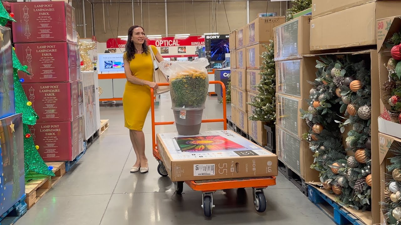 Шопинг из Магазина Костко Costco | Покупаем Телевизор 📺 | Эгине | Семейный Влог | Heghineh