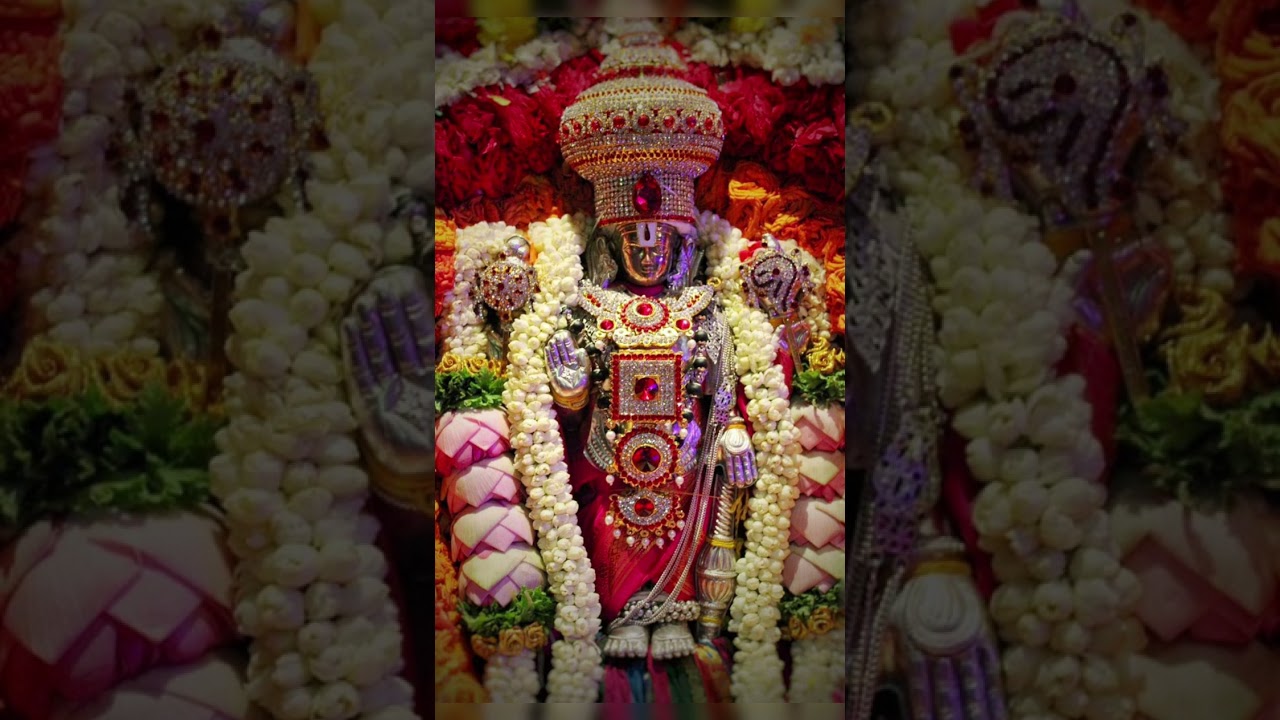  అన్నమయ కీర్తన కొండలో నేలకోన  #govinda #ttd #annamayyasong #devotion #sprituality ##@dr.rising_sun 