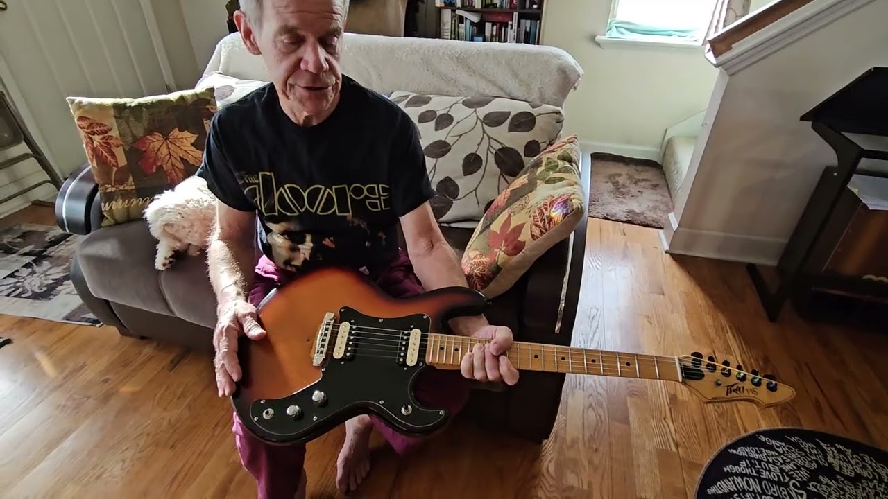 Peavey T-15 Badass Mod Part 1