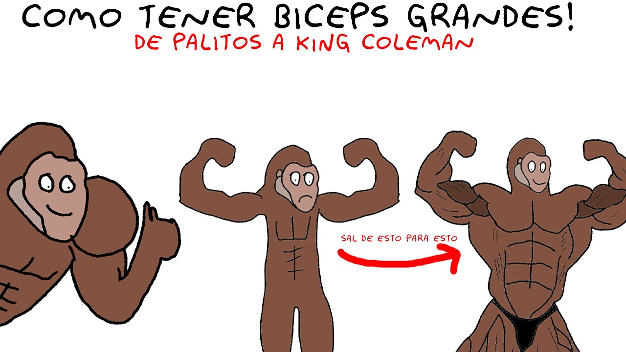 C&Oacute;MO TENER B&Iacute;CEPS ENORMES &mdash; Explicado por Simio