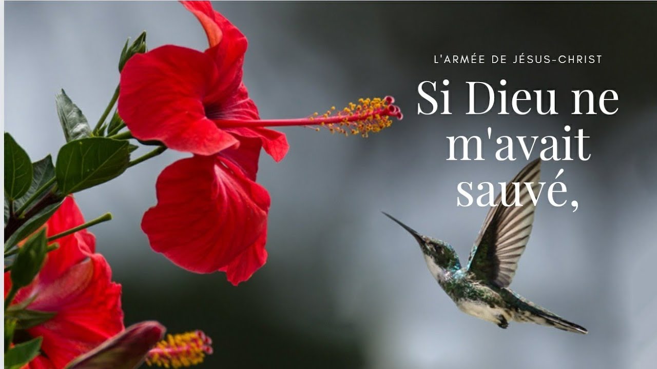 Chanson :Si Dieu ne m'avait sauv&eacute;, je serais encore errant dans le monde.#chant d'adoration