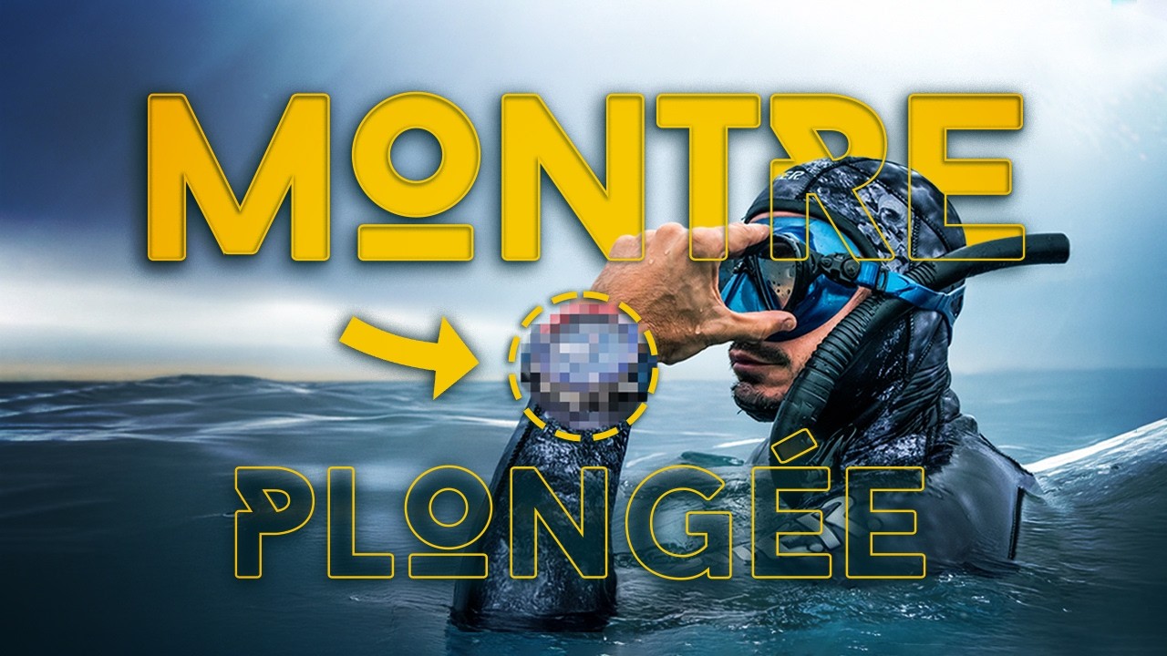 🧭 5 vraies montres de #plongée incontournables, testées sur le terrain