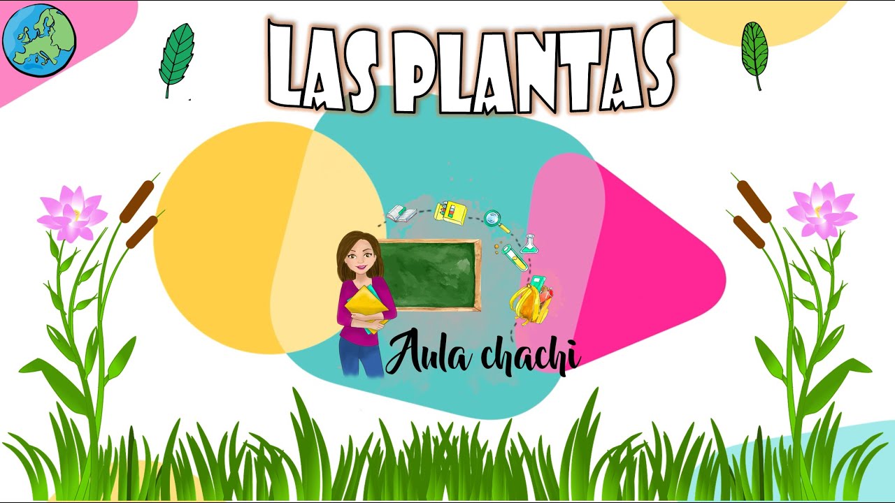 Las Plantas | Aula chachi - Vídeos educativos para niños