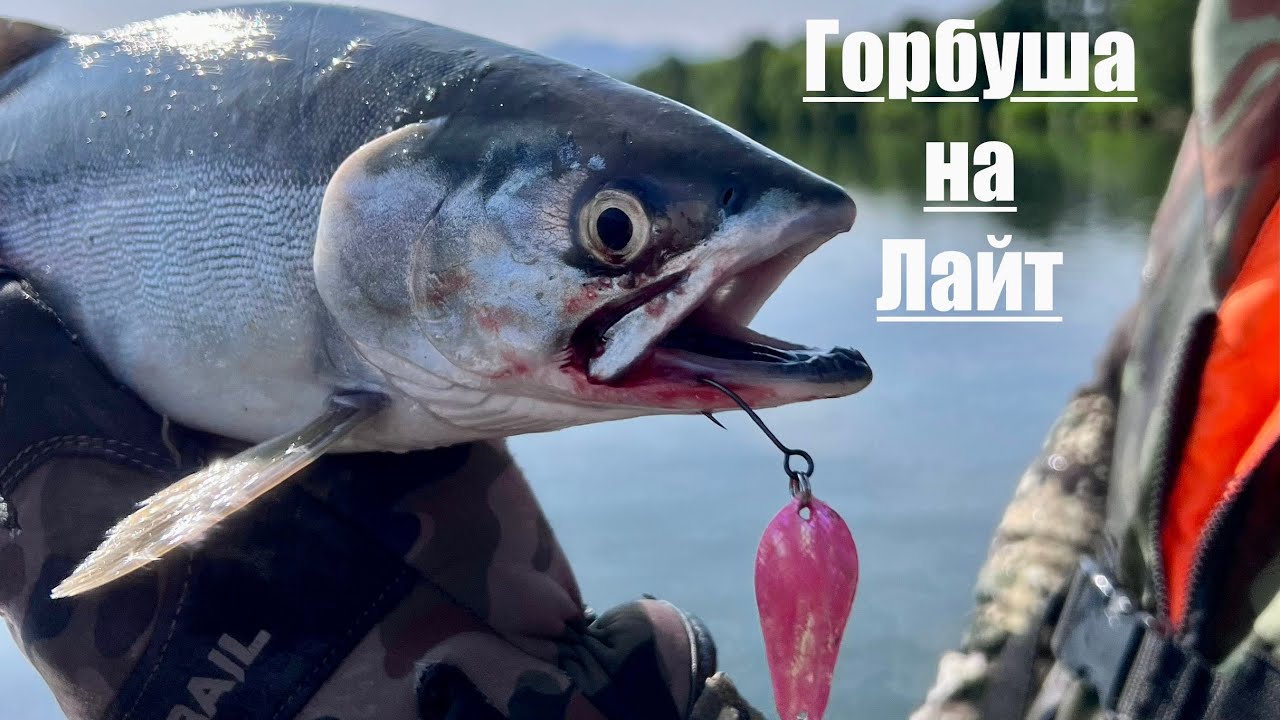 Рыбалка на р.Паратунка #Камчатка#рыбалка#туризм