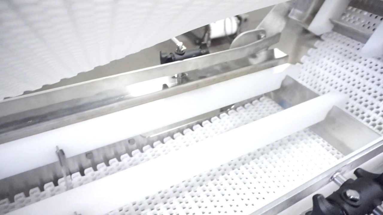 PCS E-Z Clean Dairy Sanitary Conveyor