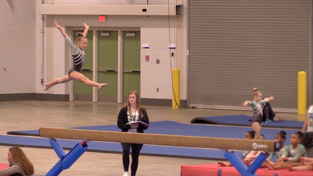Flip 4 A Cause 2020 - Level 4 Gymnastics Meet