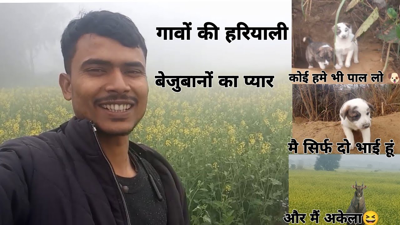 Cute puppy 🐶🐶 .. #dehati #vlogs #neel #gaye #sarso #fasal #puppy #dogesh #blogs #video #dehati 27m 