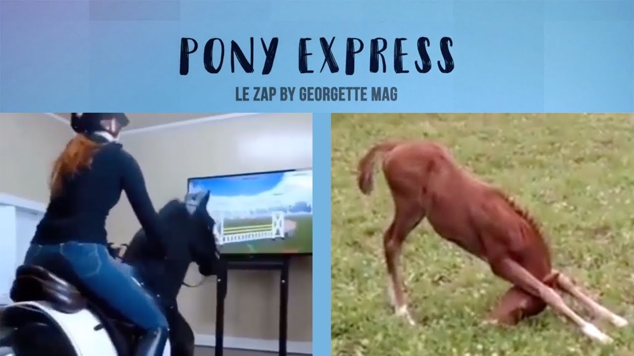 Pony Express #8 : Un cheval un peu trop malin pour sauter ! 😂