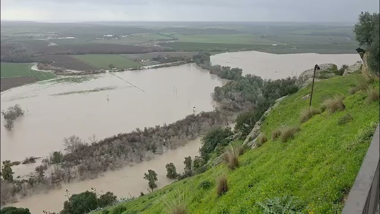 Continua subiendo el cauce del río a su paso por Almodovar del Río