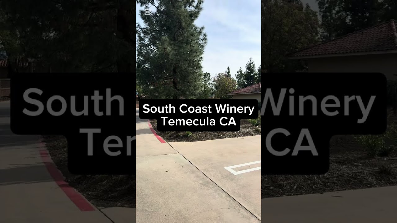 Honest Family Review of South Coast Winery Temecula | Kid-Friendly? Worth the Price?