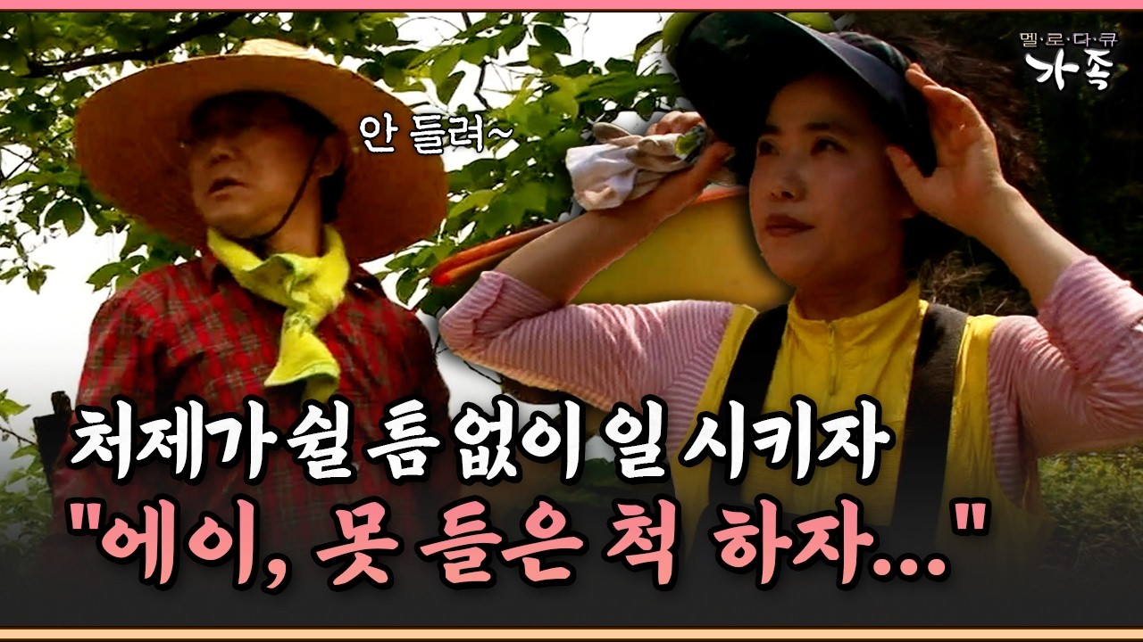 [멜로다큐 ‘가족’ 328-2] 처제가 쉴 틈 없이 일 시키자 못 들은 척하는 형부