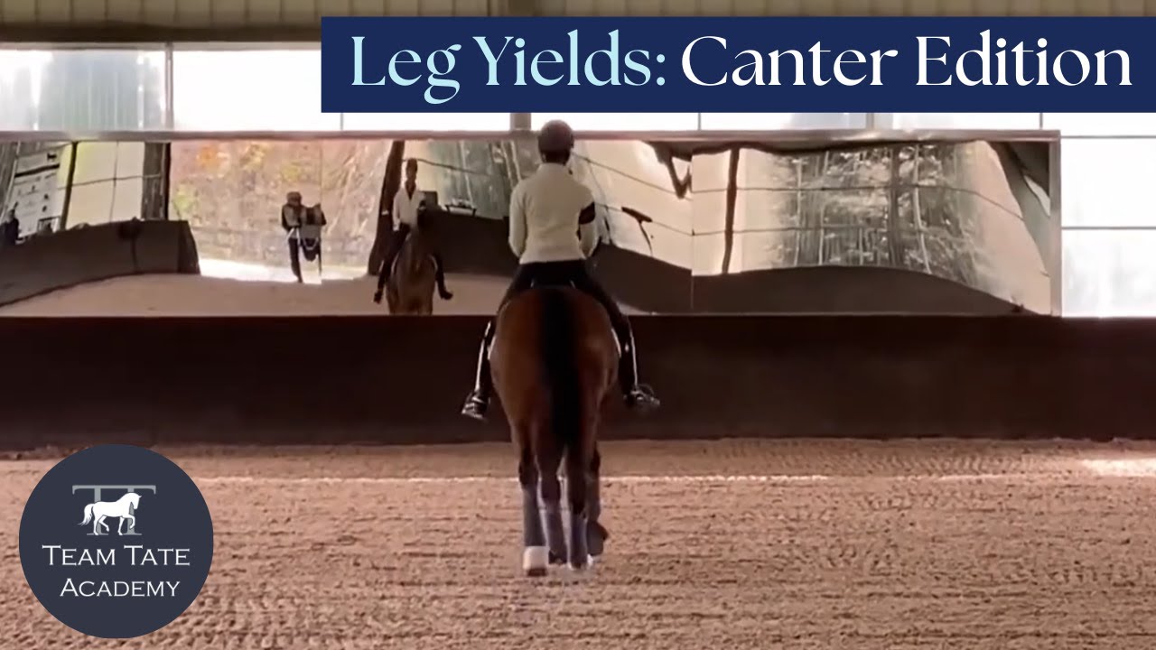 Let's Talk Leg Yields: Canter Edition