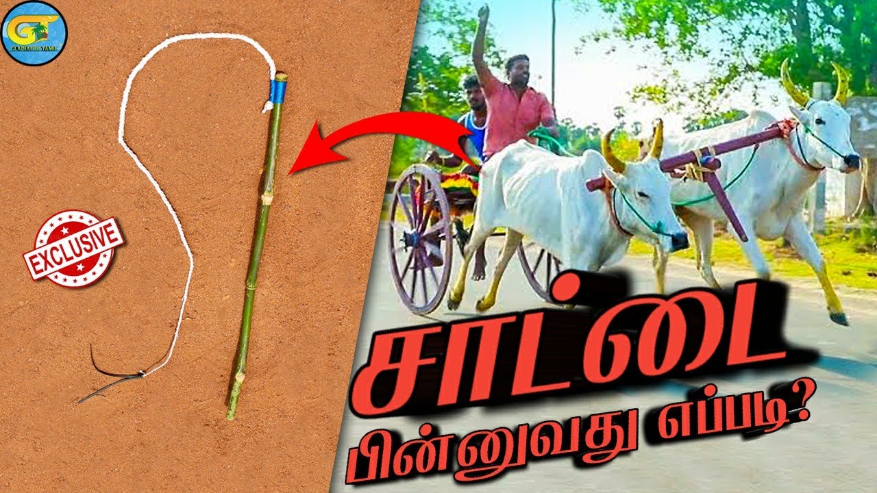 சாட்டை கயிறு பின்னுவது எப்படி|cow rope making