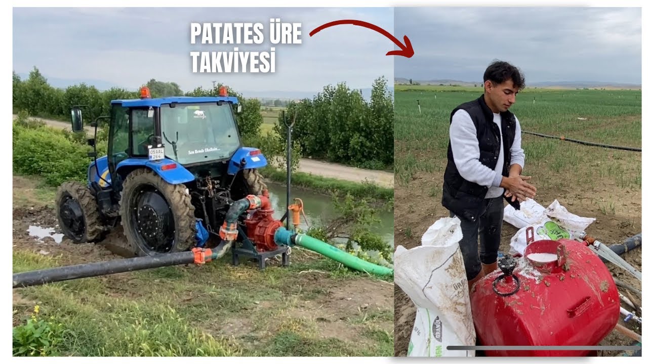 PATATESE ÜRE TAKVİYESİ || SOĞAN BÖCEK İSTİLASI || İNSEKTİSİT UYGULAMASI