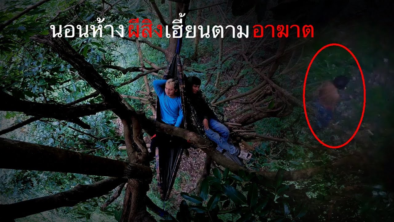 กลับมาพิสูจน์ความจริงที่ห้างปริศนากลางป่าที่เคยเจอหนุ่มปริศนาไร้เงา