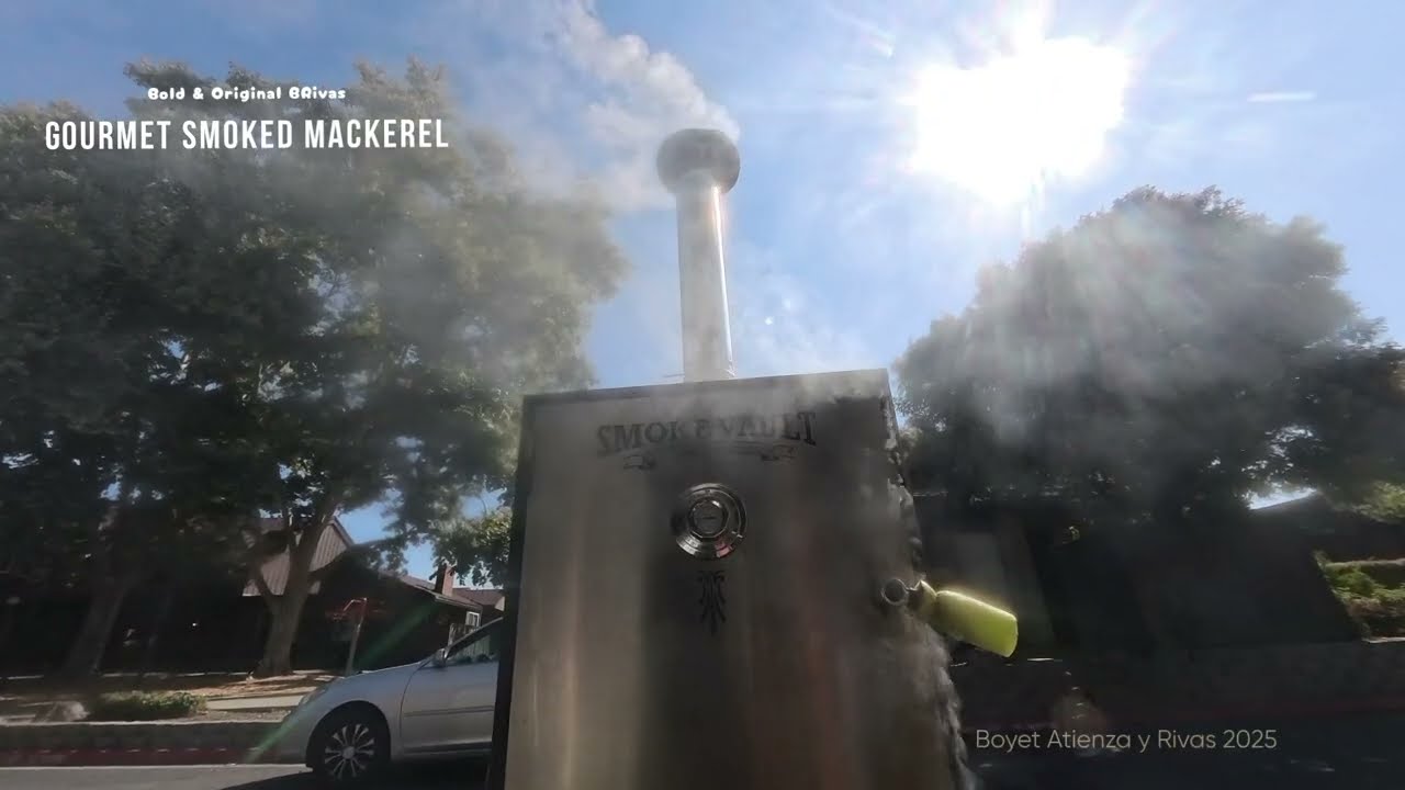 TRUE MACKEREL SMOKING using my trusted SMOKE VAULT by Camp Chef