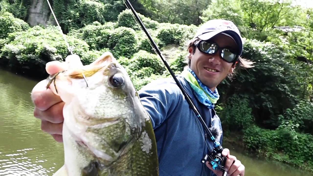 青木大介プロと虫パターンを楽しみ尽くせ!!　キング青木虫参上!!