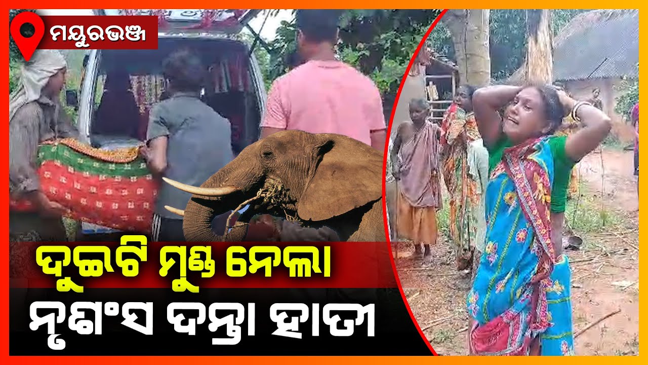 ଦୁଇଜଣଙ୍କ ଜୀବନ ନେବା ସହ ତିନିଜଣଙ୍କୁ ଗୁରୁତ୍ତର କଲା ଝାଡ଼ଖଣ୍ଡି ଦନ୍ତା || MAYURBHANJ NEWS