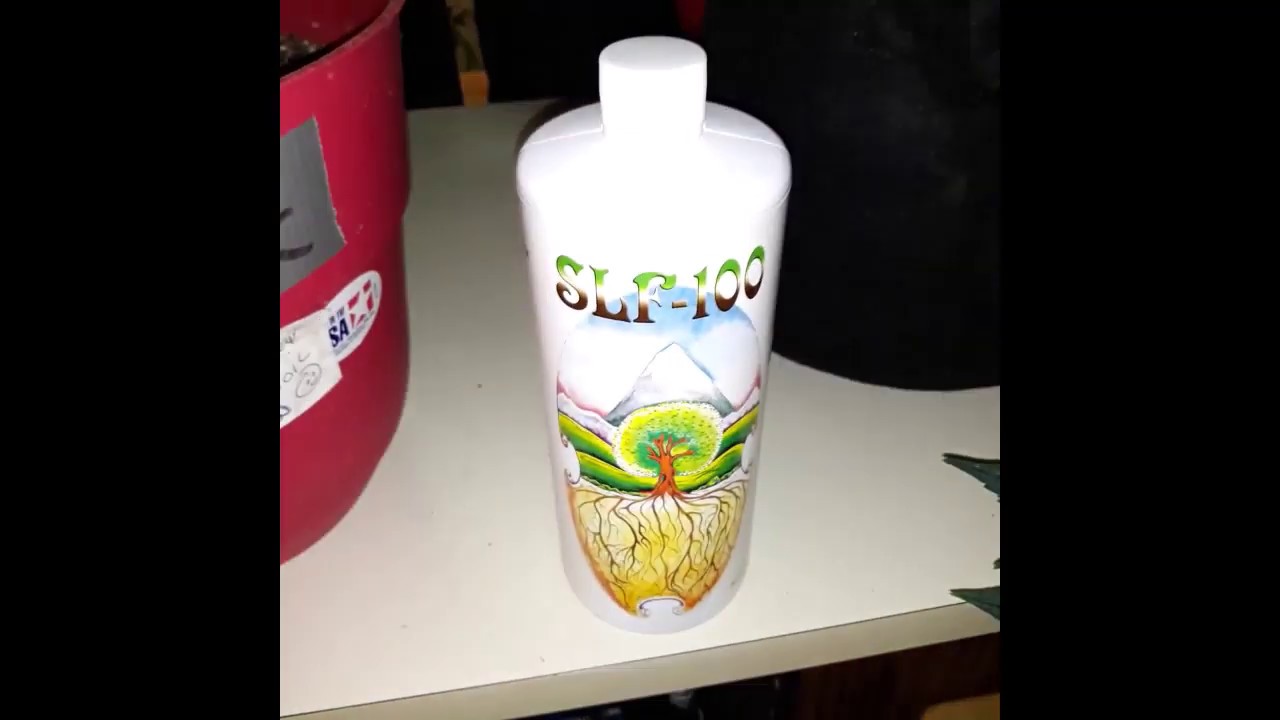 Checking out SLF100 with Dutchman420