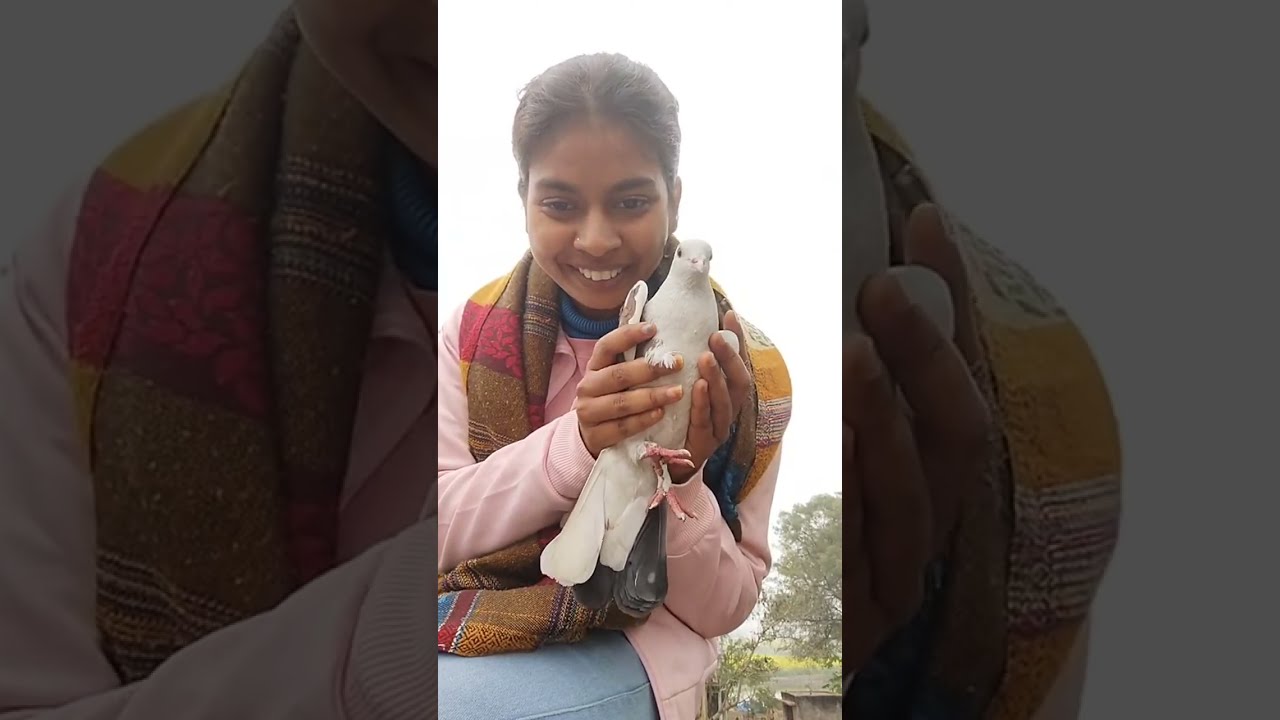 Ravager Perry 2.1 is live happy new year youtube family love you so much 🩷🩷🎊