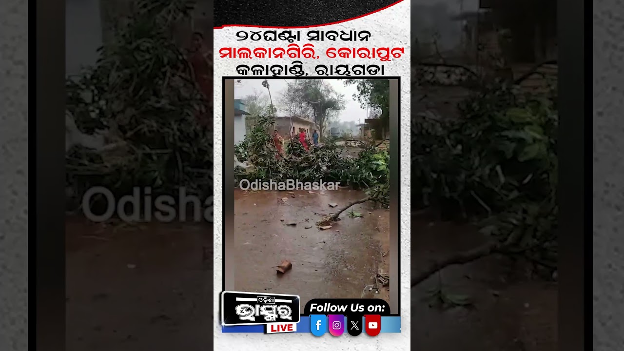 24 ଘଣ୍ଟା ସାବଧାନ ଏହି ସବୁ ଜିଲ୍ଲା... #ytshorts #shortsvideo  #weatheralert #stormwarning #heavyrainfall