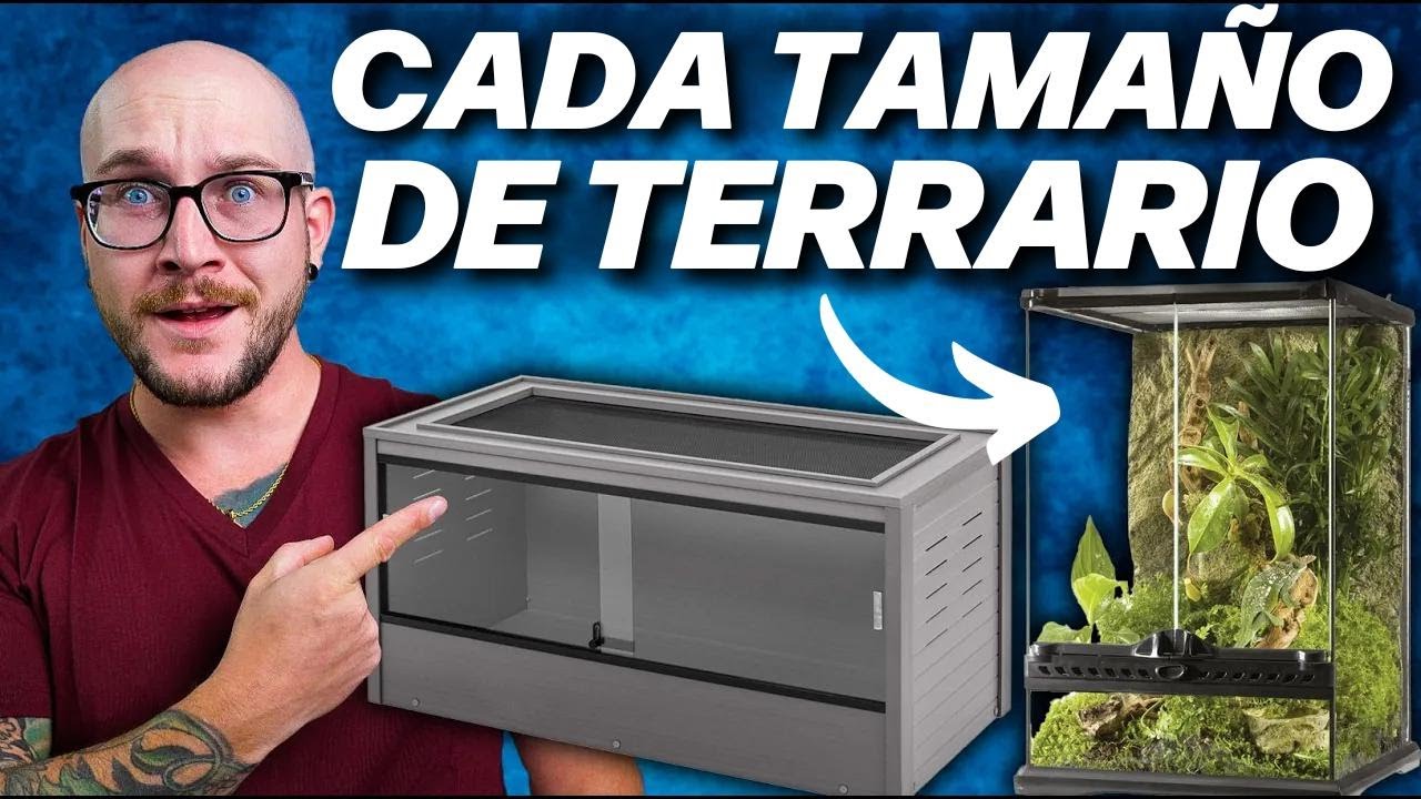 El reptil ideal para cada tamaño de terrario