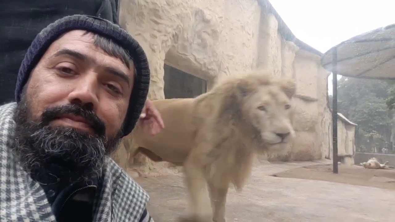 Lahore Zoo Animals || لاہور چڑیا گھر میں موجودہ جانور 