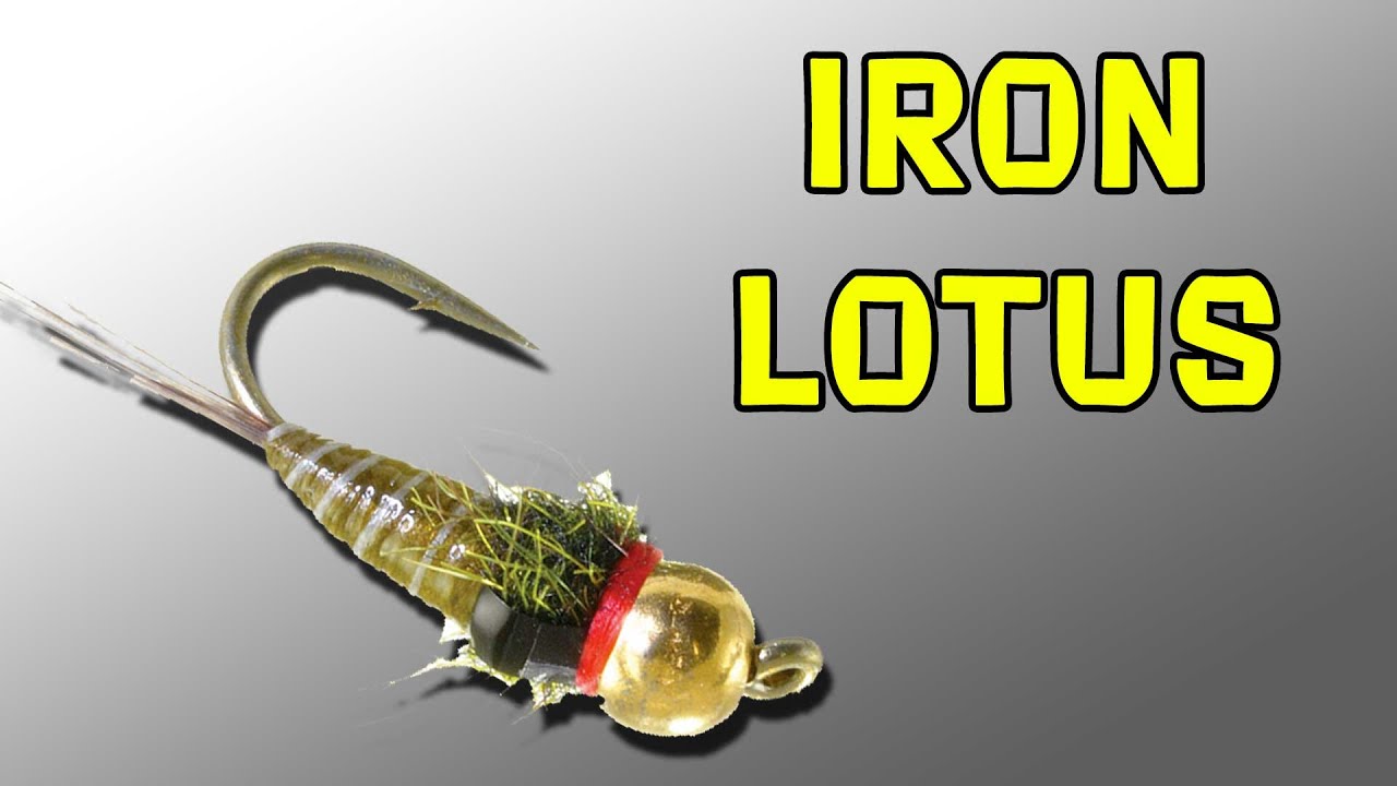 Iron Lotus Fly Pattern Tutorial - Lance Egan's Variation