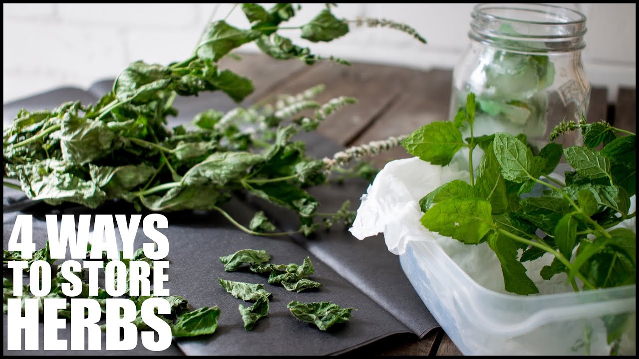 4 Efficient Methods For PRESERVING FRESH HERBS - How To Store Fresh Mint Leaves