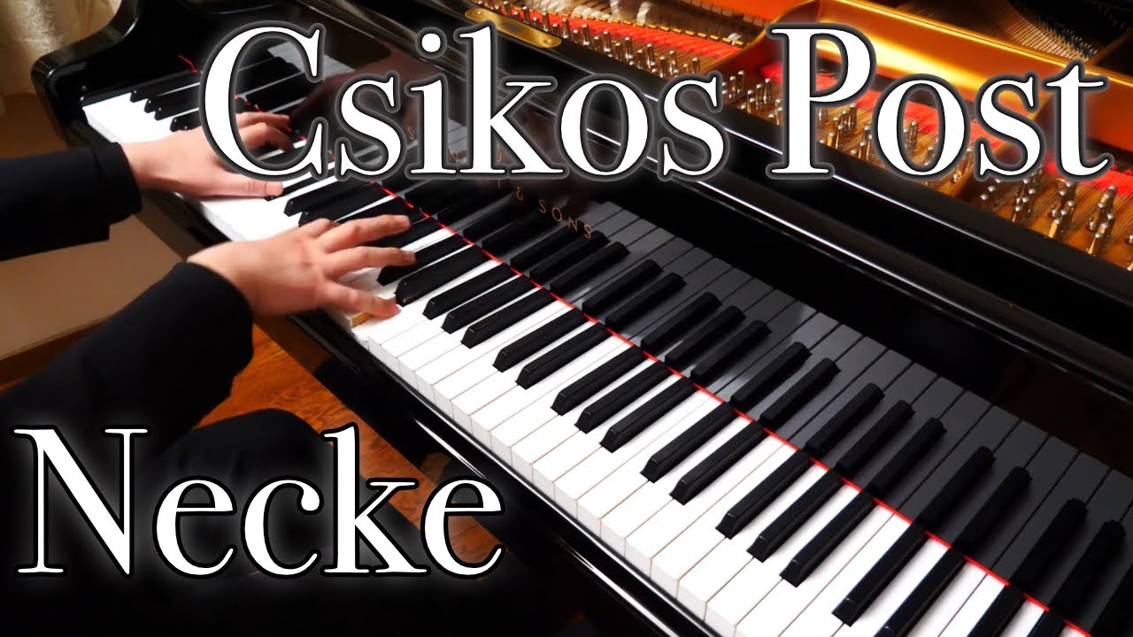 【Necke】Csikos Post