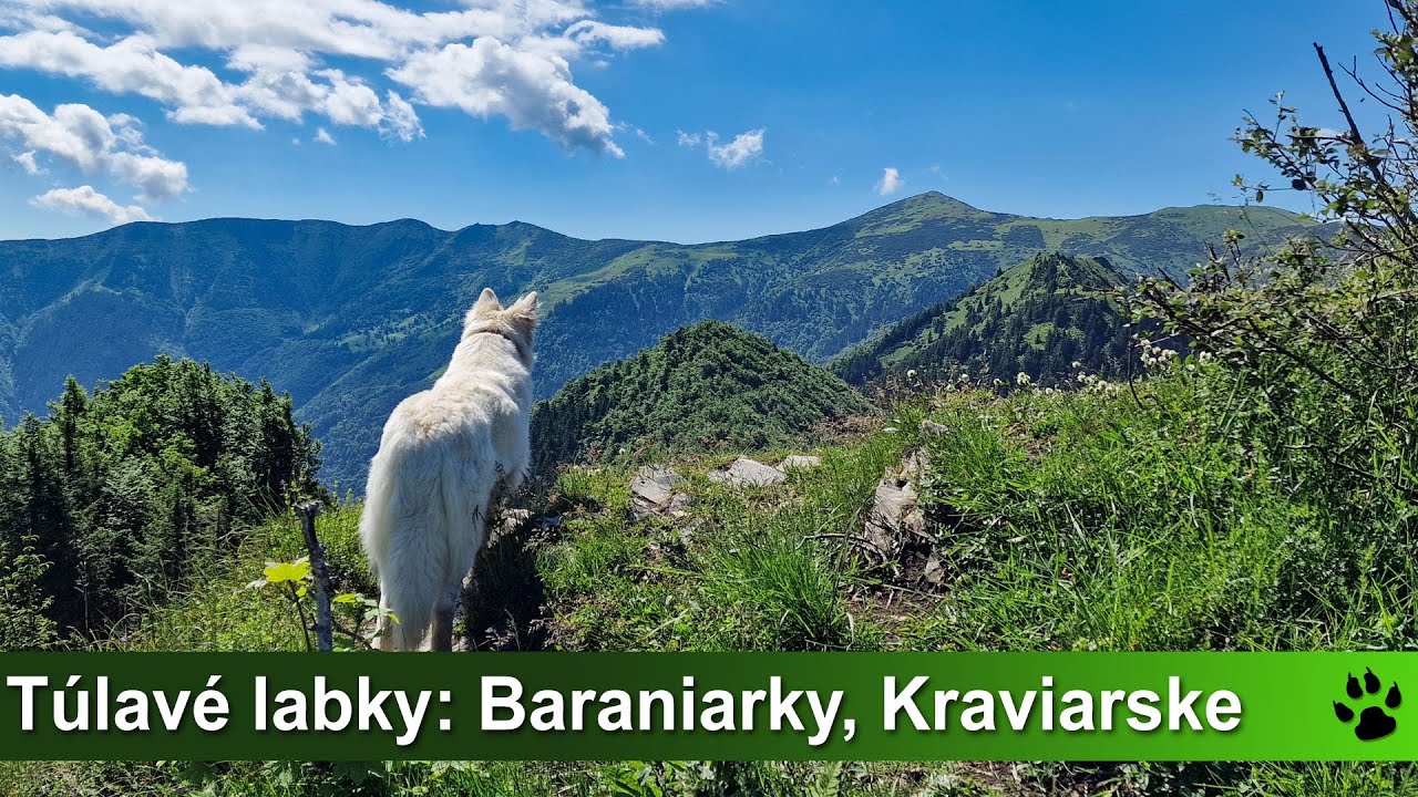 Túlavé labky:  Veľký Kriváň cez Baraniarky a Kraviarske (Malá Fatra)