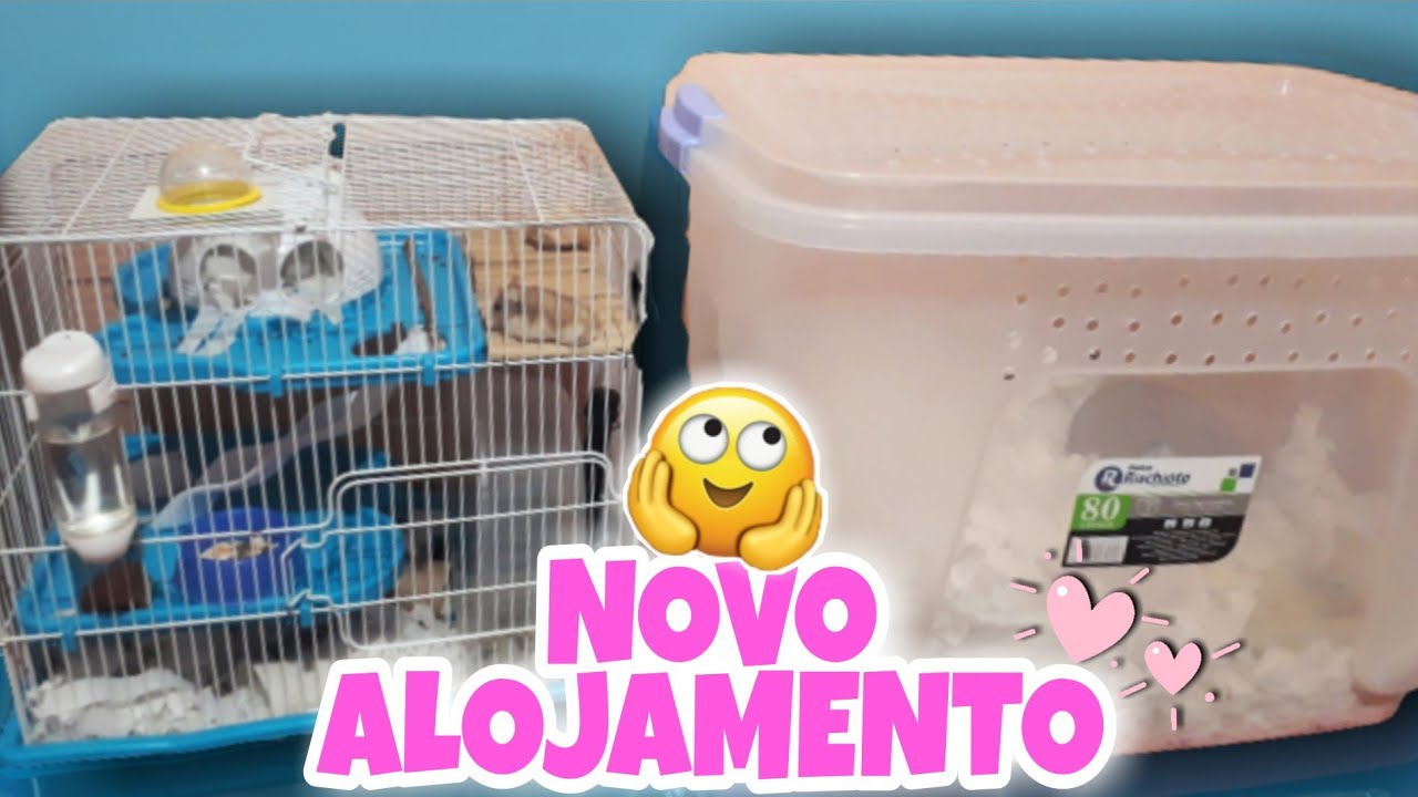 MONTANDO O NOVO ALOJAMENTO DA HAMSTER! 🏠🐹