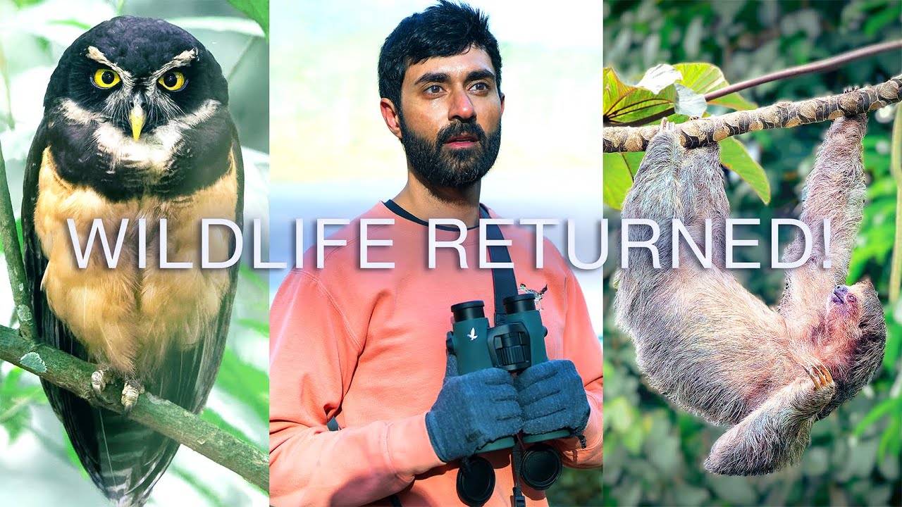 The idea that gave me HOPE for rainforest conservation
