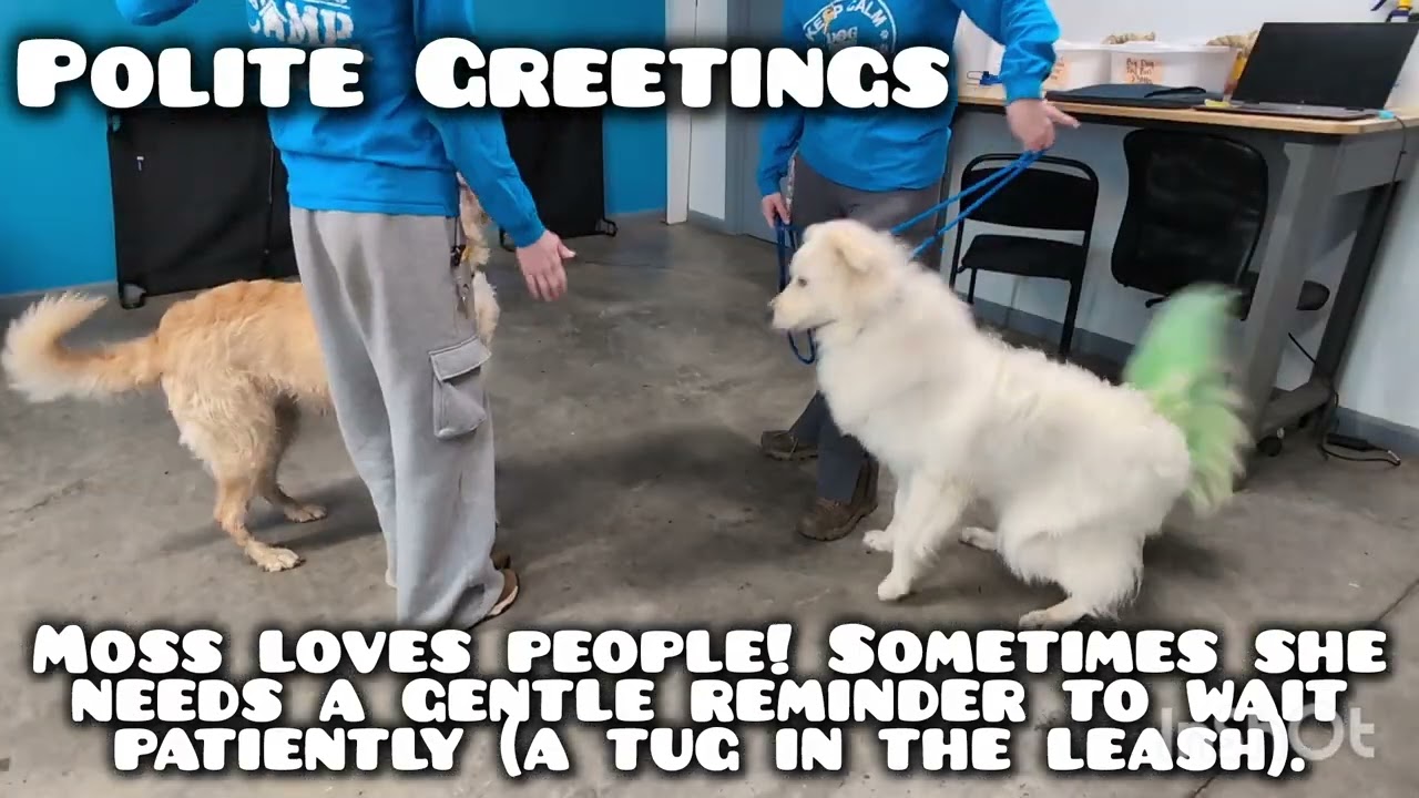 Moss' Training Video 